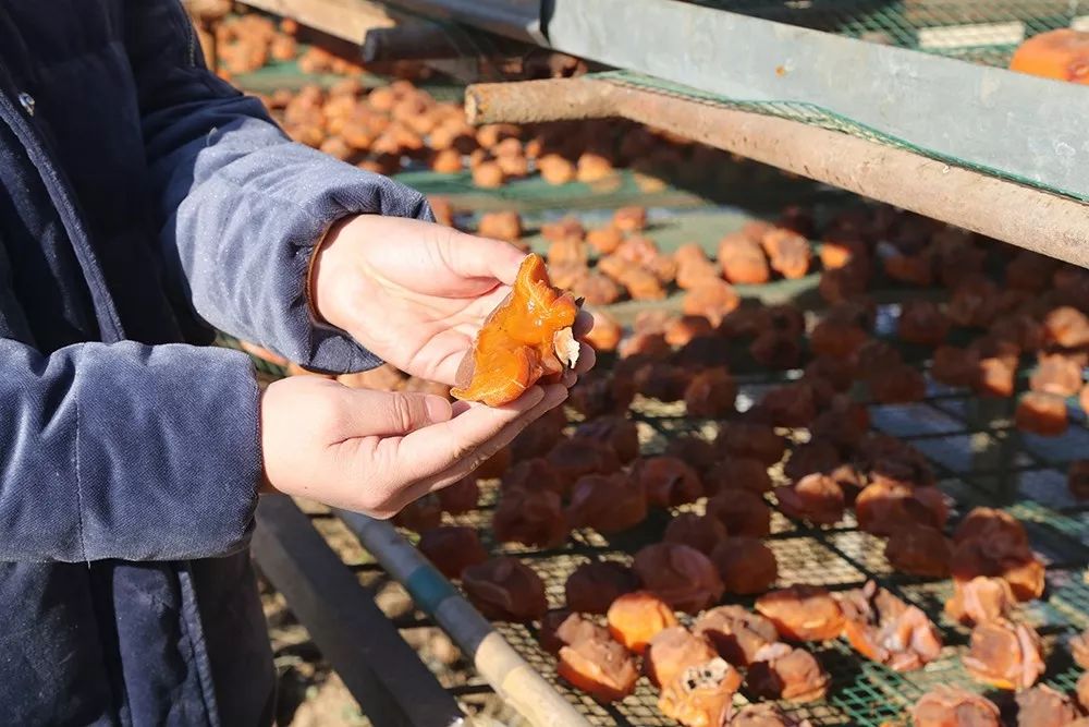玩的地方推荐三天游,三天两夜旅游强推