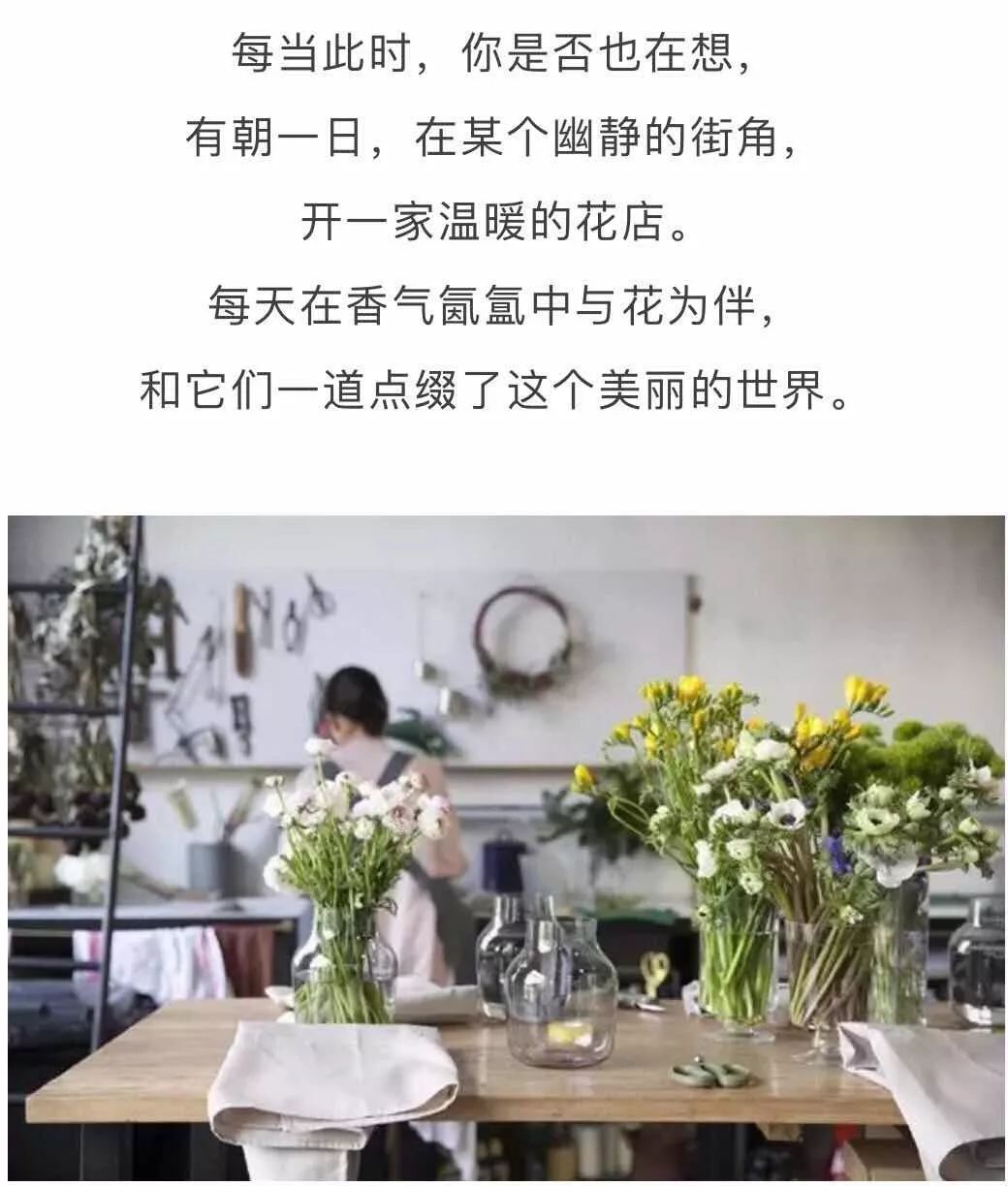 北京才女徐静蕾,徐静蕾李亚鹏北京台