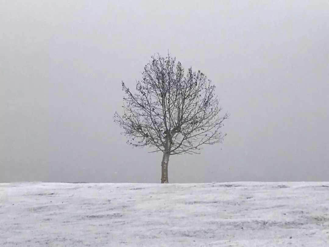 雪在认真的下！路上小心！最新路况在这里！