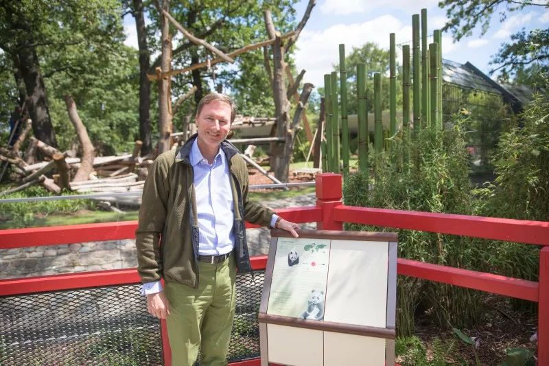 老外到底多喜欢熊猫,老外看中国大熊猫