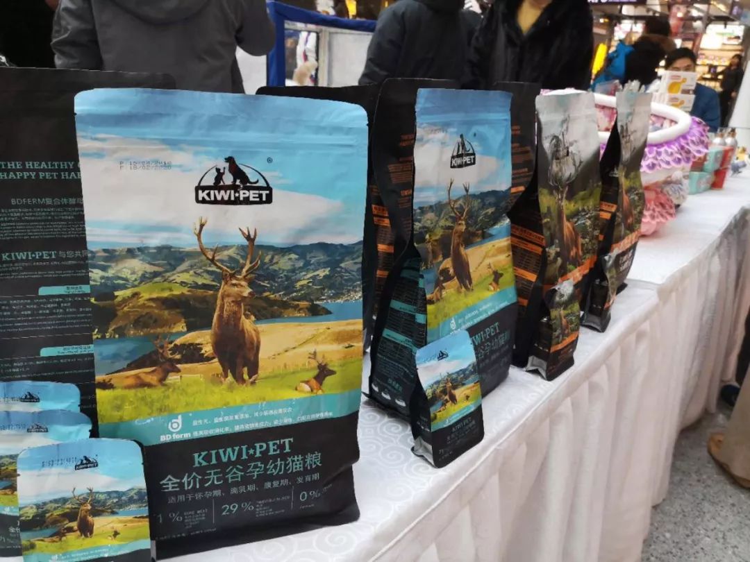 新闻综合广播｜「宠爱有家」之喵星驾到