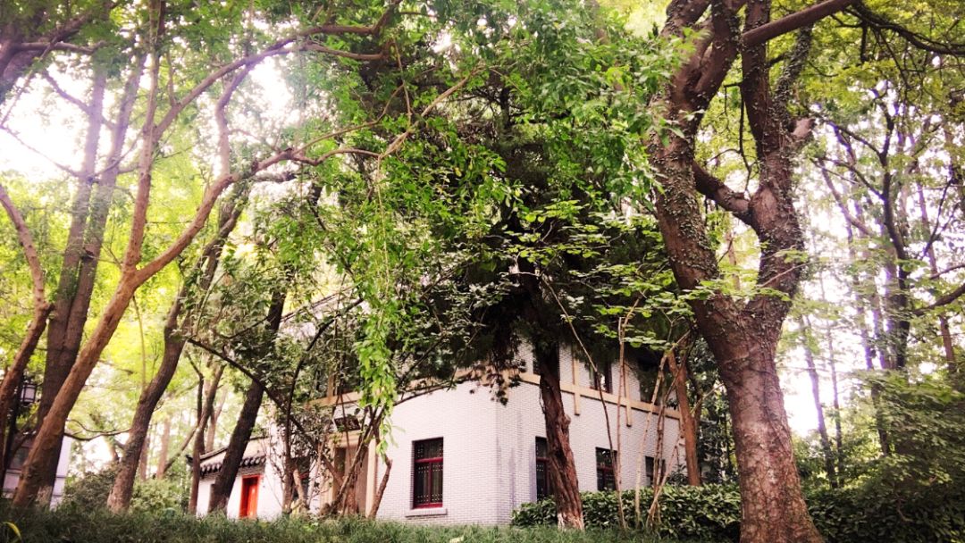 下关十二中怎么样,下关区十二中