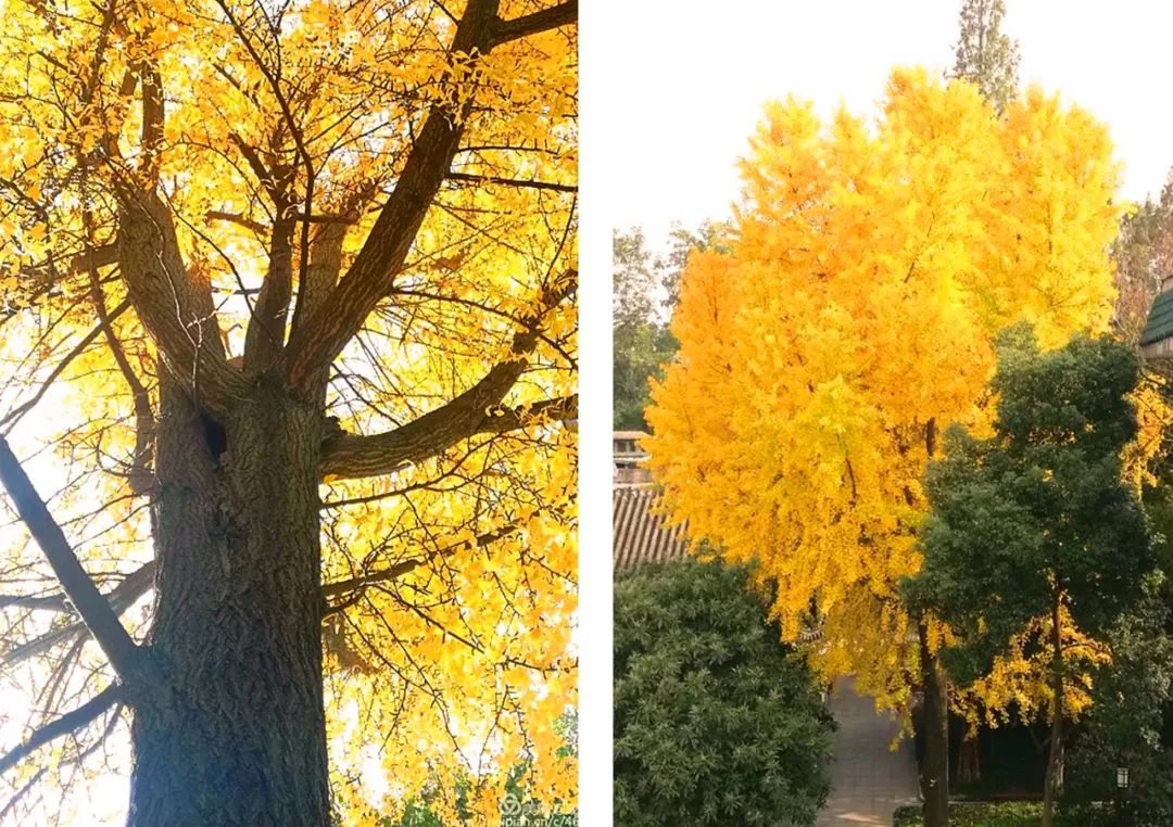 南京下关十二中初中部,下关十二中怎么样