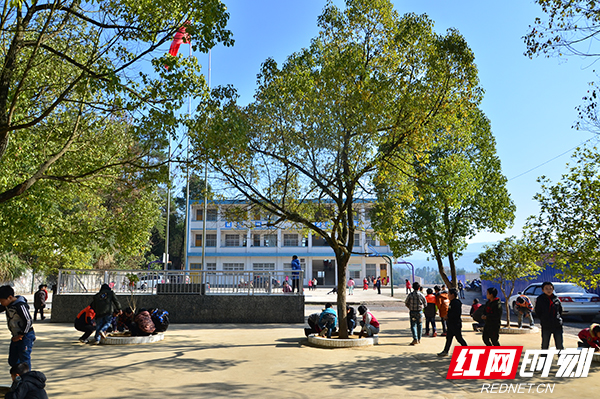 武冈市大甸镇：惠民举措落实民生改善当先