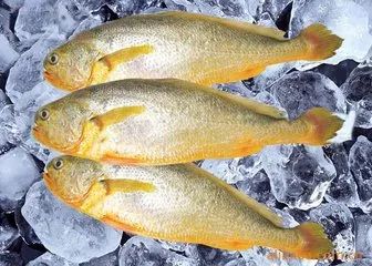 胃癌能吃虾海鲜吗,肿瘤患者可以吃海蛎吗