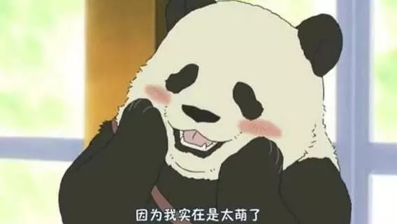 老外多爱猫咪,老外多爱中国