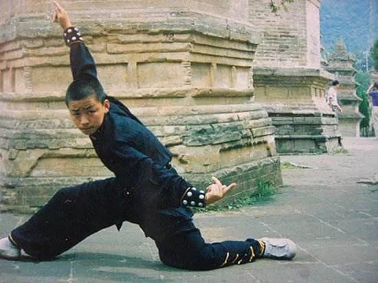 撒贝宁一生的遗憾,撒贝宁季羡林