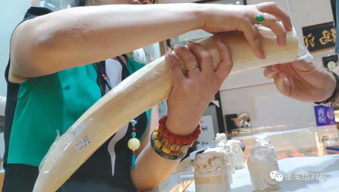 象牙入境被抓视频,象牙制品入境被海关查获