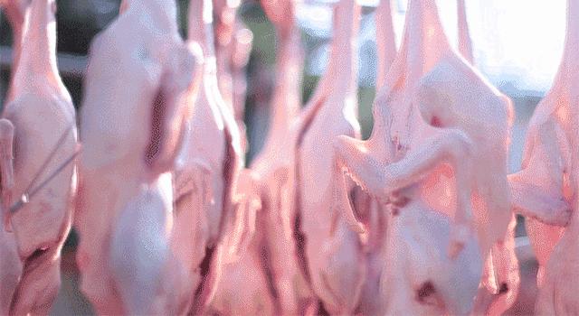 好食鸭绝味,食神酱鸭怎么吃