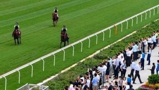投注额达17.15亿港币,8万余马迷入场观赛!香港元旦赛马日再创新高