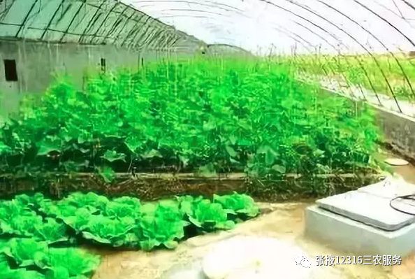 冬天温室大棚保暖的十种方法,温室大棚怎么增温