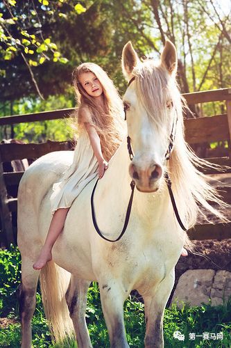 鬼马系列写真,马写真高清图片大全