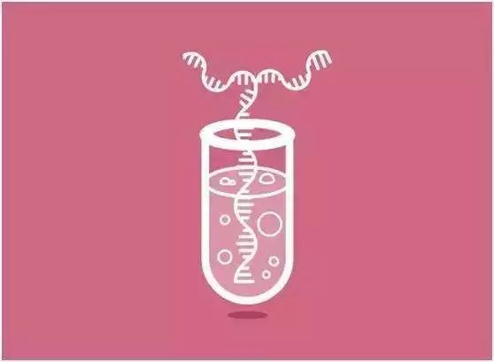 女明星喝的酵素减肥,女明星都在吃的酵素