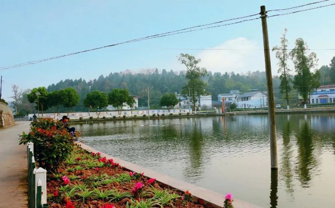 聚焦乡村振兴共建和谐美丽新农村,聚焦三农合村并居