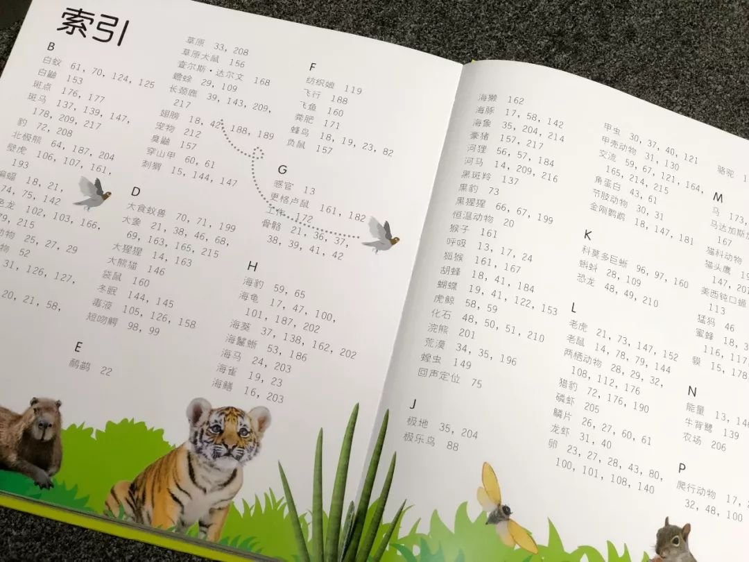 现在的孩子真是不知道怎么想的,现在的孩子真的是脑洞大开