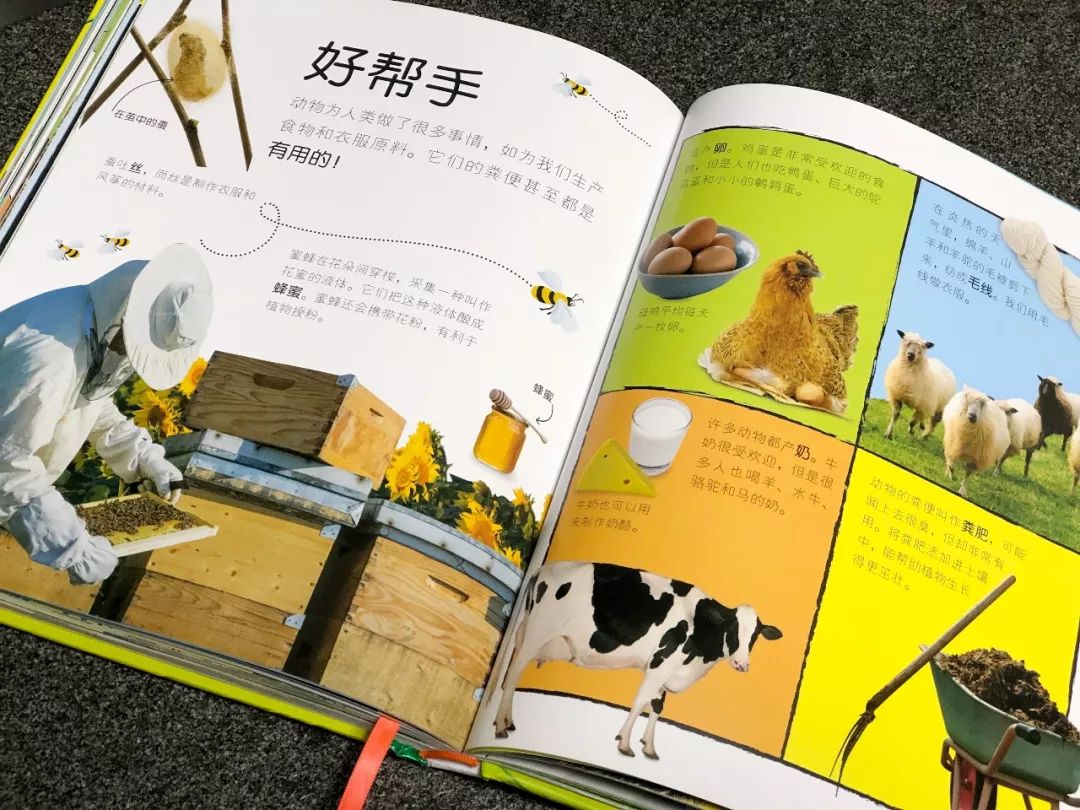 现在的孩子真是不知道怎么想的,现在的孩子真的是脑洞大开