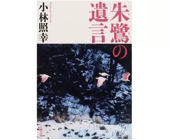 2019，十本译文纪实系列新书，一起看世界