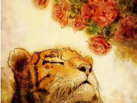 趣闻｜2018年神翻译大盘点，让我们一起笑到2019！汪涵都惊呆了～