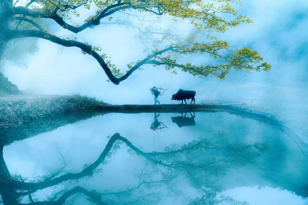 惊才绝艳的名句,惊才绝艳的诗句完整