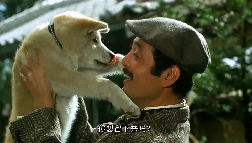 日本十部最好看的动漫电影,必看10部经典日本电影