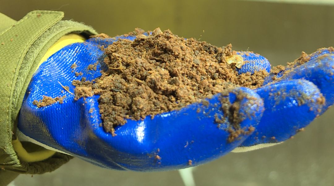 厨余垃圾的变形记,垃圾车变形记