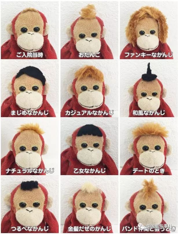 看到陪伴自己长大的玩偶获得重生，大概真的会开心到流泪吧