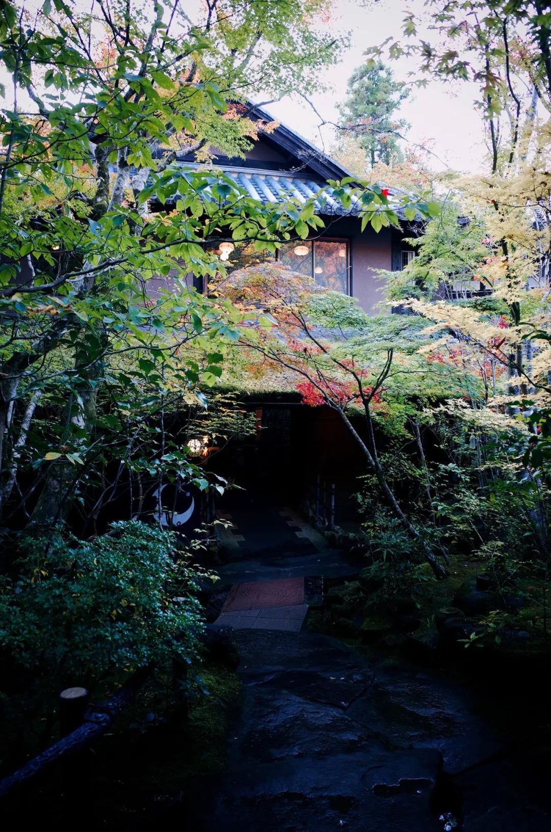 日本大分县旅游攻略,日本冬日3天攻略