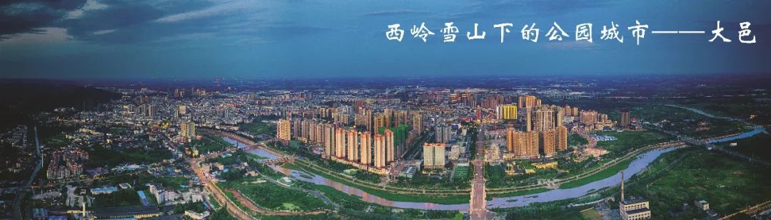 大邑县安仁足球队,大邑安仁镇学校足球队