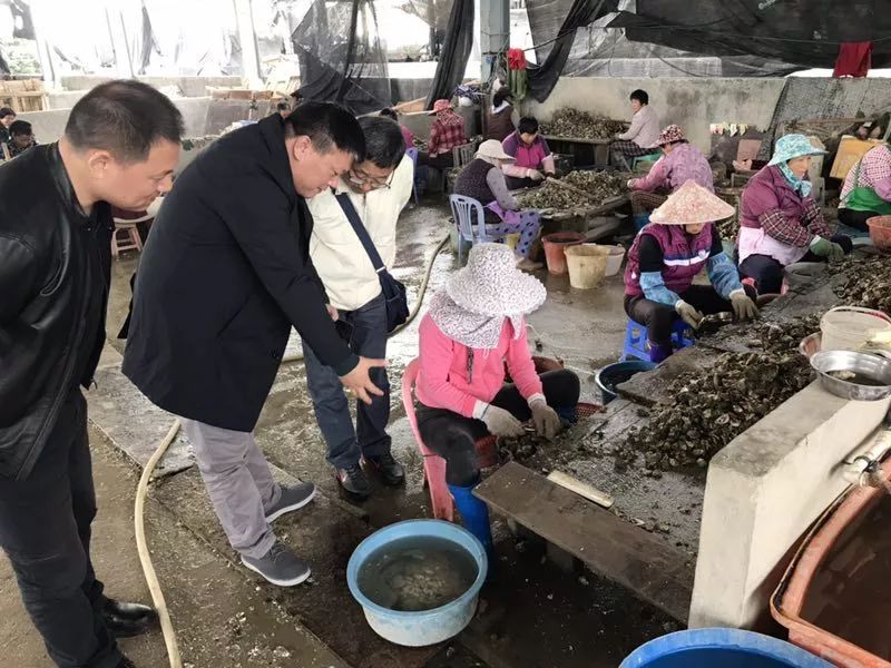 牡蛎碳酸钙颗粒的危害,牡蛎碳酸钙片副作用