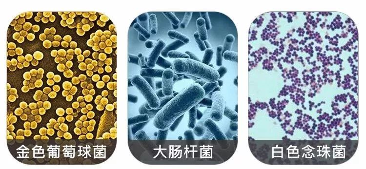 20年烟民咽喉发黑，瑞士专业医师推荐！一喷杀菌99.9%，止咳清痰排烟毒