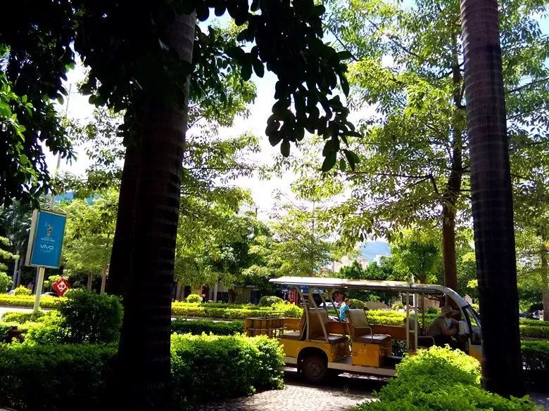 元江高端酒店有哪些,元江经济型酒店推荐