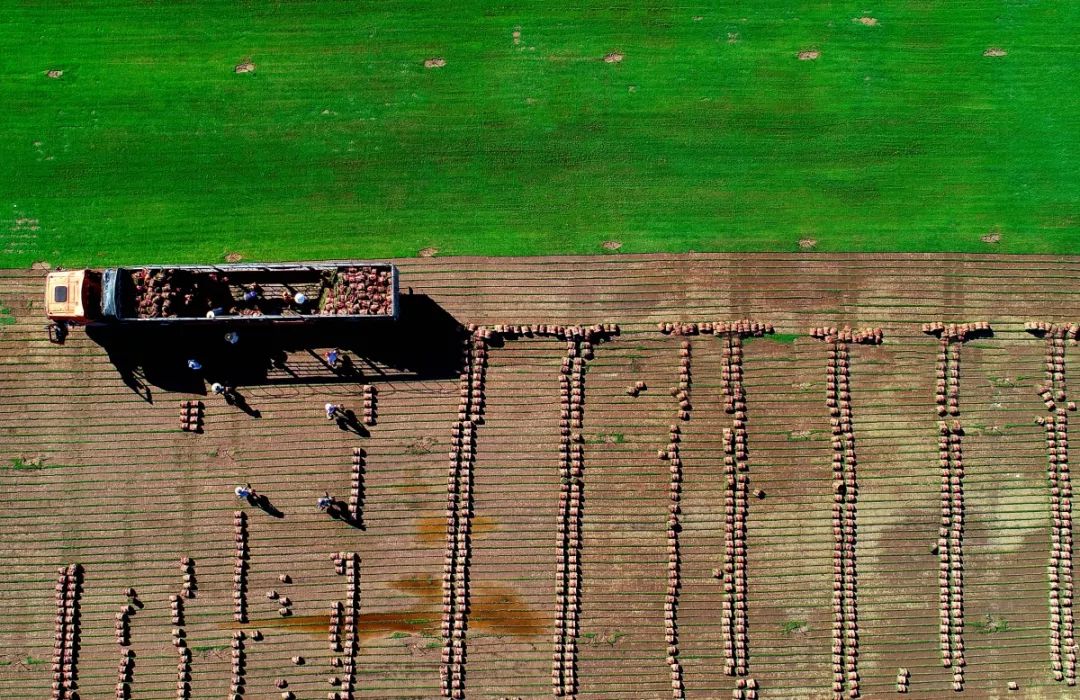 99%的斗门人都没看过的斗门，赶紧看！