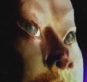 那些年我们一起看过的电视剧全集,那些年我们一起看过的动画原视频