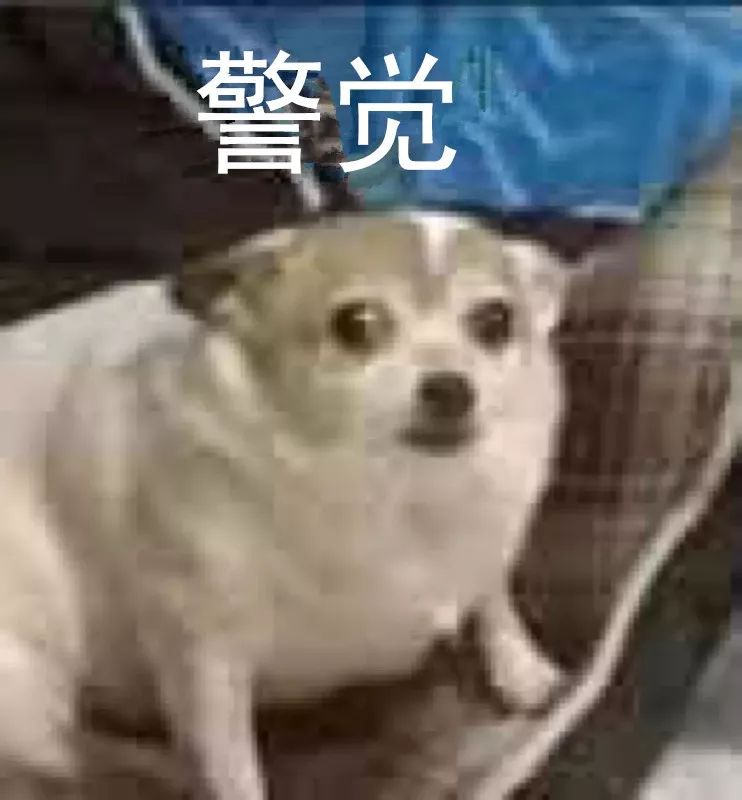 小孩头皮发痒要警惕四种疾病,3岁小孩身上发痒要警惕