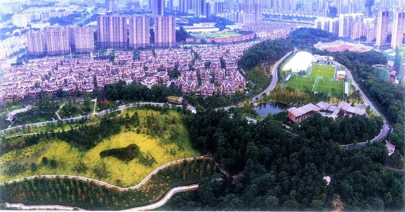 我是黎托，梦想直达雨花，幸福“黎”你很近！