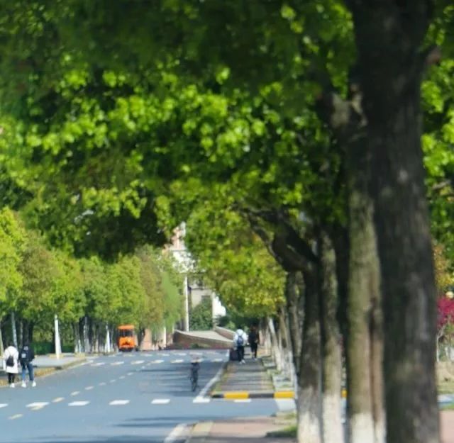 请给我来一碗“江工专属腊八粥”