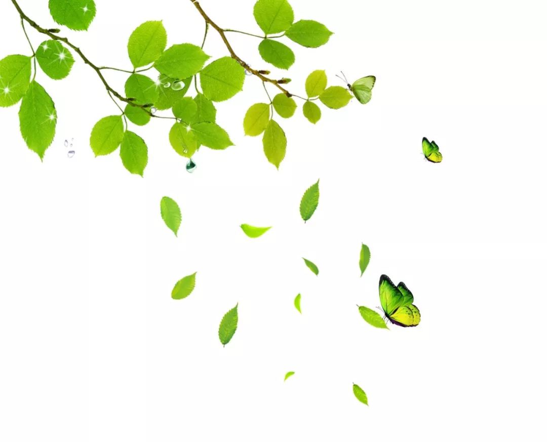 西安动物园旅游手绘示意图,最美的西安公园风景图