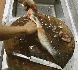 被扎一下就要去医院,被扎一下手就要去医院