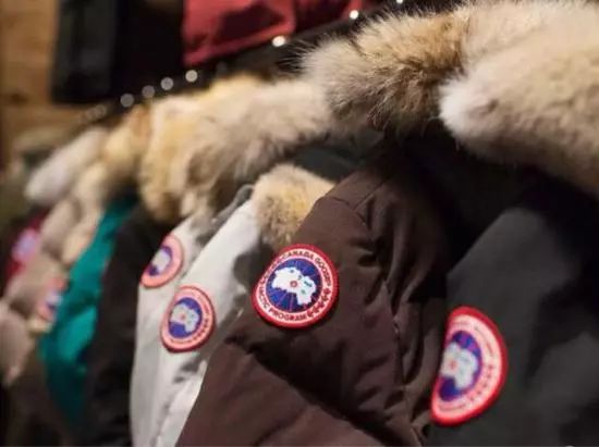 网易考拉涉假大鹅将赴加拿大鉴定消费者担心不是原件