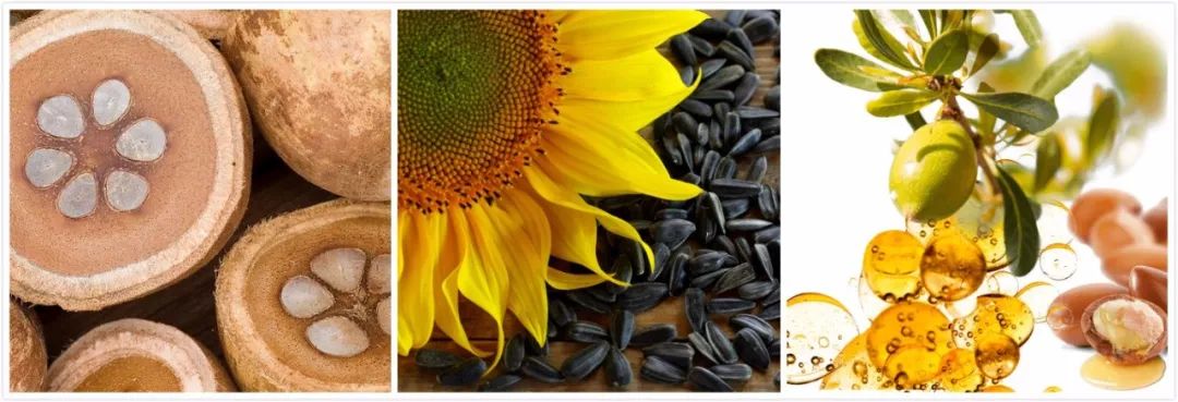 团购开抢｜嫩出水、白成雪、滑溜溜的肌肤，靠这款身体乳就够了