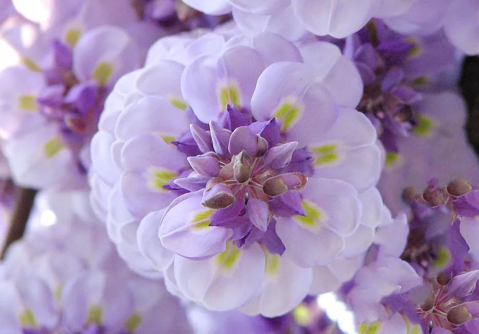 祖玛珑香水和圣罗兰哪个档次高,祖玛珑香水五件套