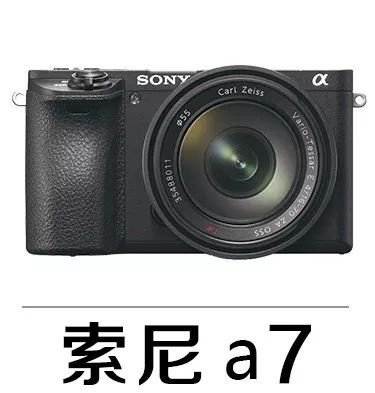 新手必须掌握的7个微距摄影技巧,光影留情谈微距拍摄技巧