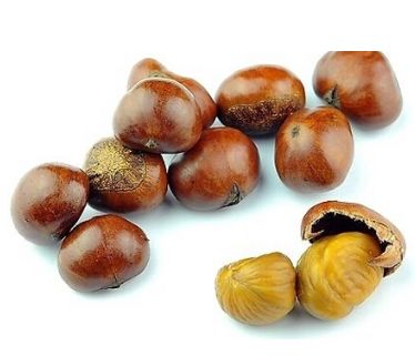 每日一膳｜素食“四大名补”，冬季抗寒怎能少了它？广东省中医院杨志敏教授今日推荐