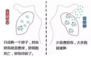 异地恋、姐弟恋陆续见光死,女人如何掌舵成为幸福操盘手?