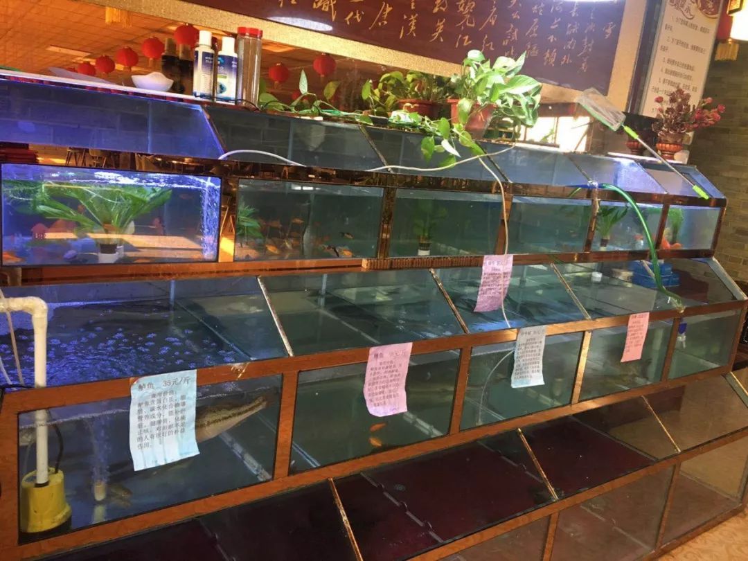 啷个哩个啷合唱,朗格里格朗