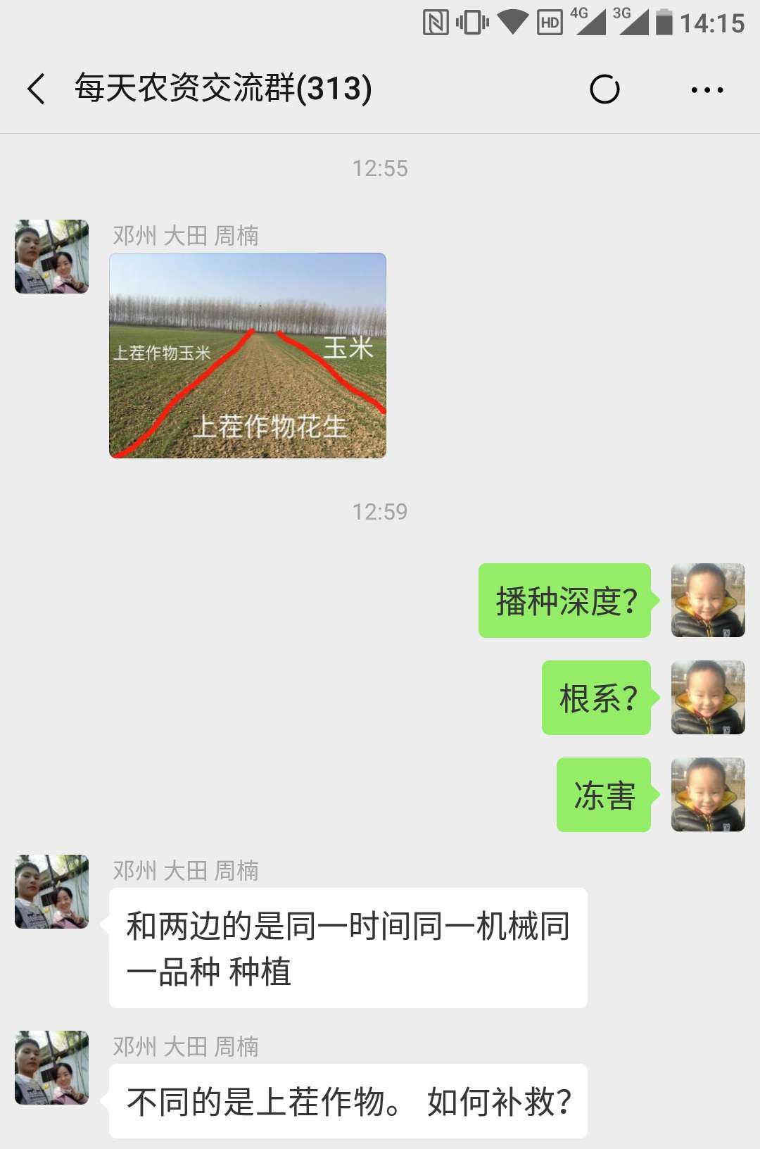 小麦最近发黄是什么原因造成,多地小麦出现发黄枯死现象