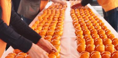 橘子皮怎么做可以化痰,美食课堂简单易做又好吃