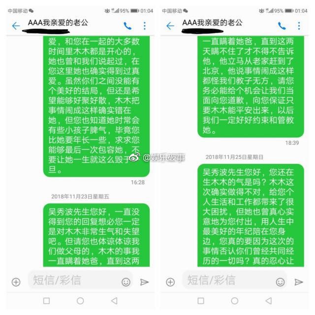 吴秀波小三被抓,吴秀波的女友被判几年