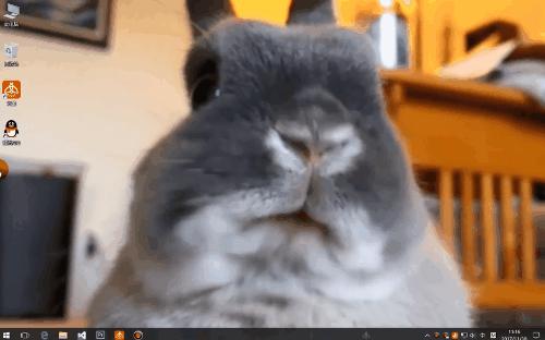 电脑和手机都可以用的动态壁纸,电脑桌面动态壁纸高清唯美