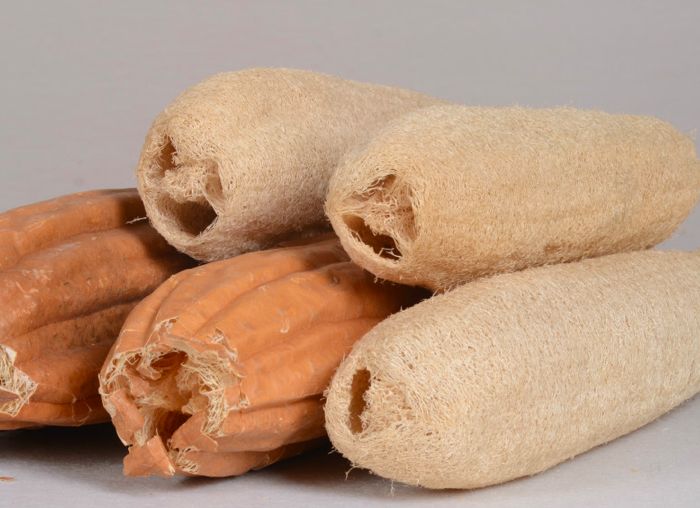 清洁工最强天团,史上最强清洁队